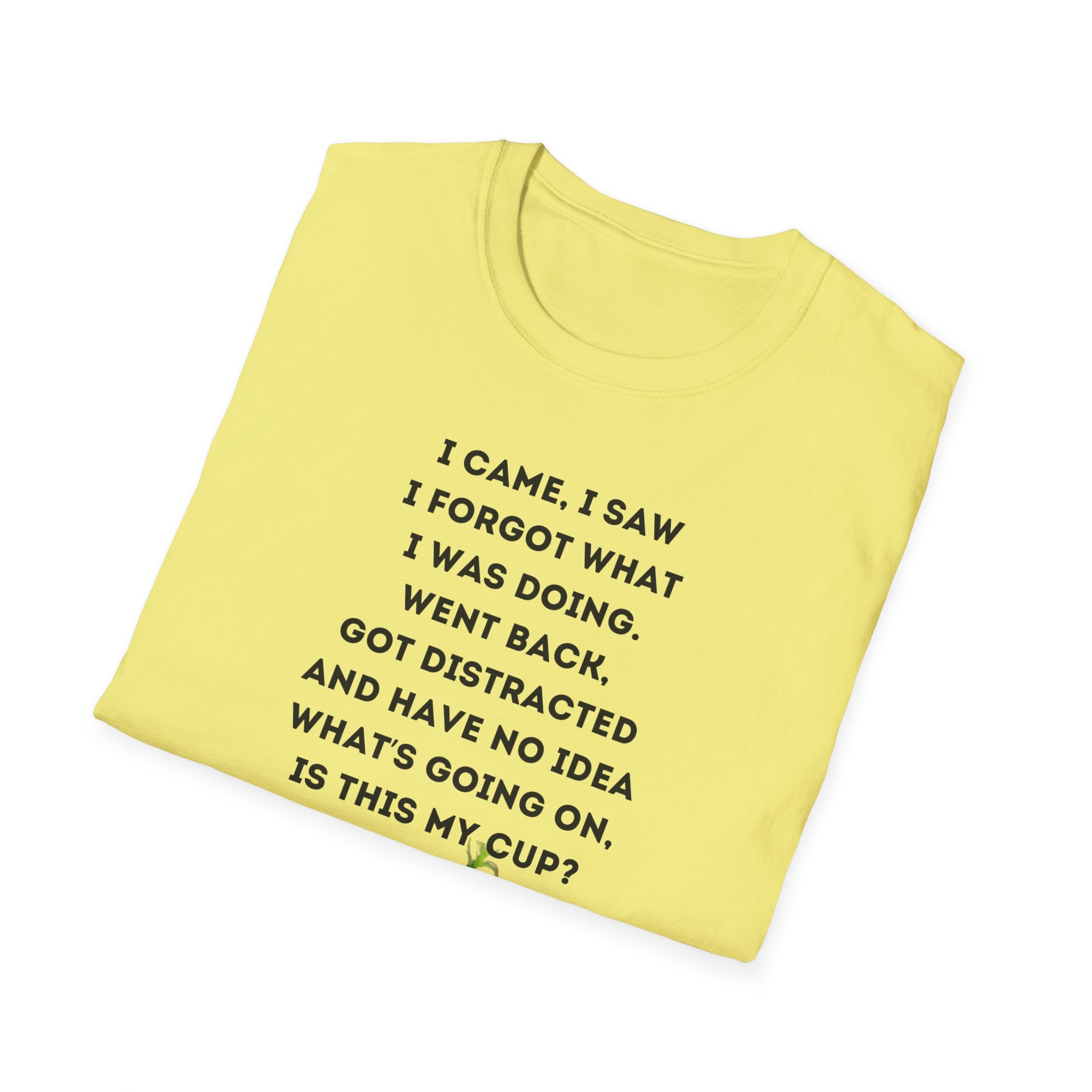 Grinch Inspired Softstyle Tee: I Came, I Saw, Funny T-Shirt for Fans, Gift for Birthdays, Casual Wear, Kermit Merchandise