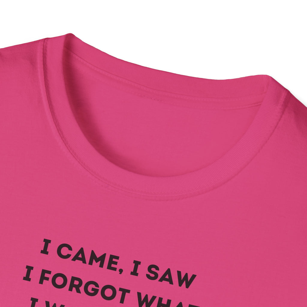 Grinch Inspired Softstyle Tee: I Came, I Saw, Funny T-Shirt for Fans, Gift for Birthdays, Casual Wear, Kermit Merchandise