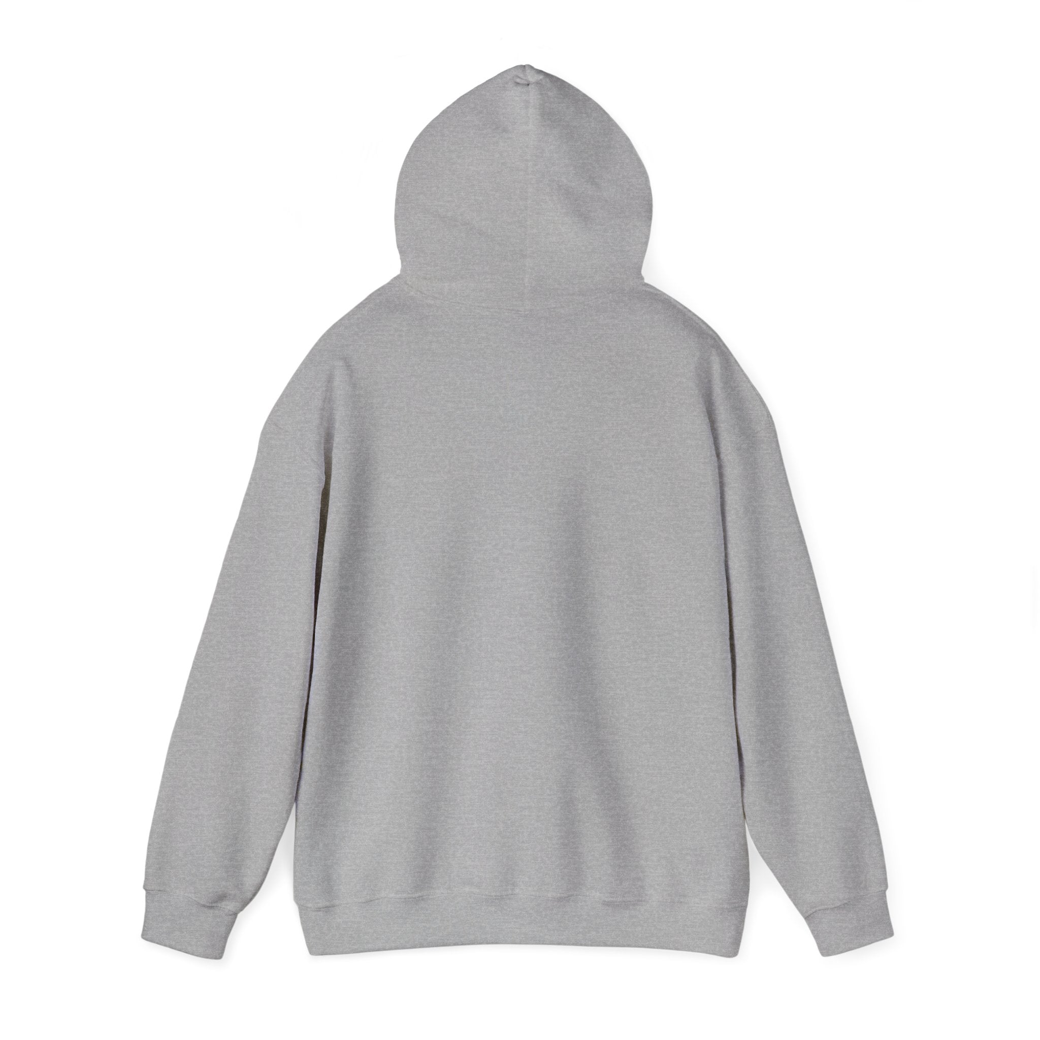I'm In a Relationship With Coffee - Men's and Woman's Heavy Blend Hooded Sweatshirt