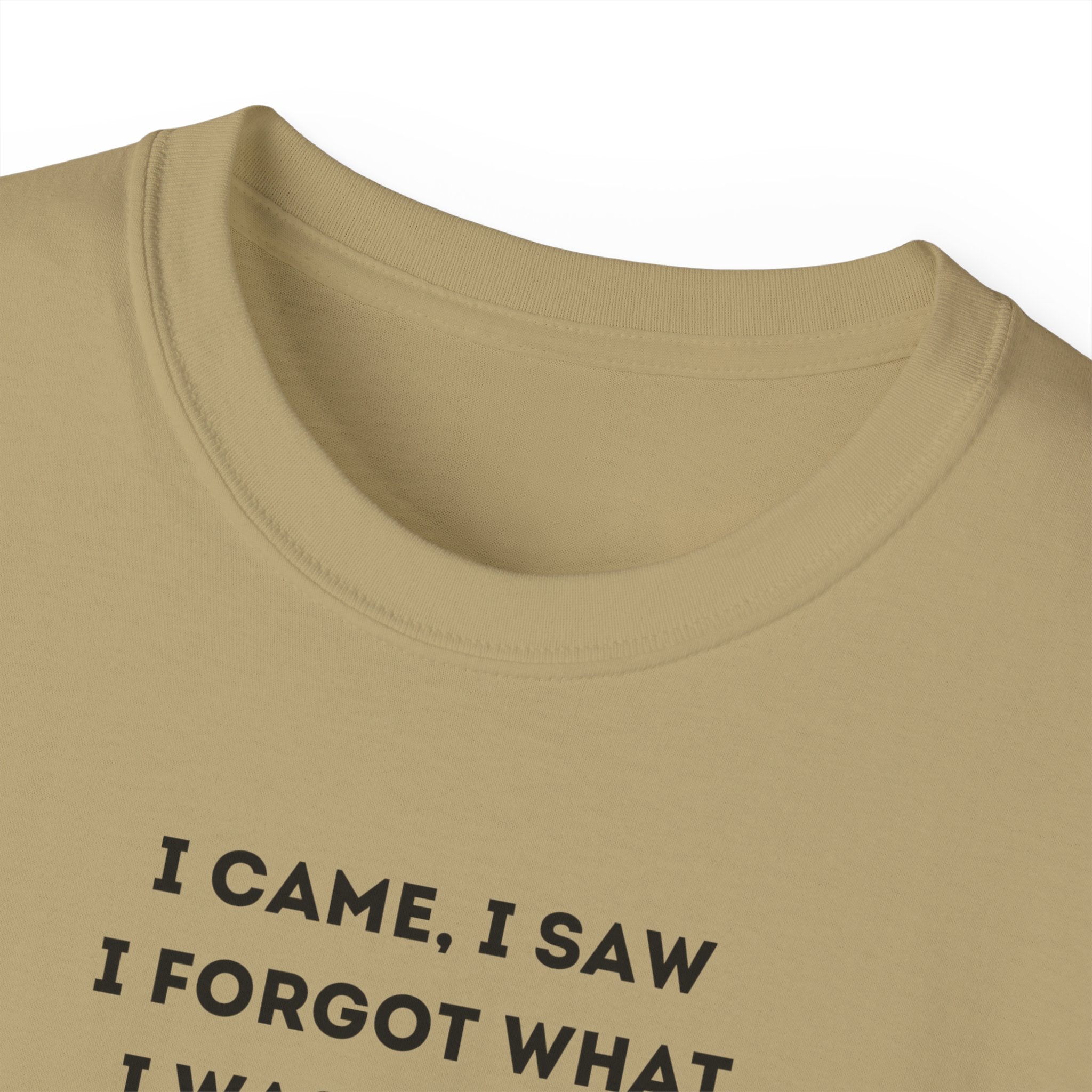 I Have to Pee - Funny Unisex Tee - I Came, I Saw, I Forgot, Perfect Gift for Friends, Casual Wear, Birthday, Humor Apparel, Everyday Wear