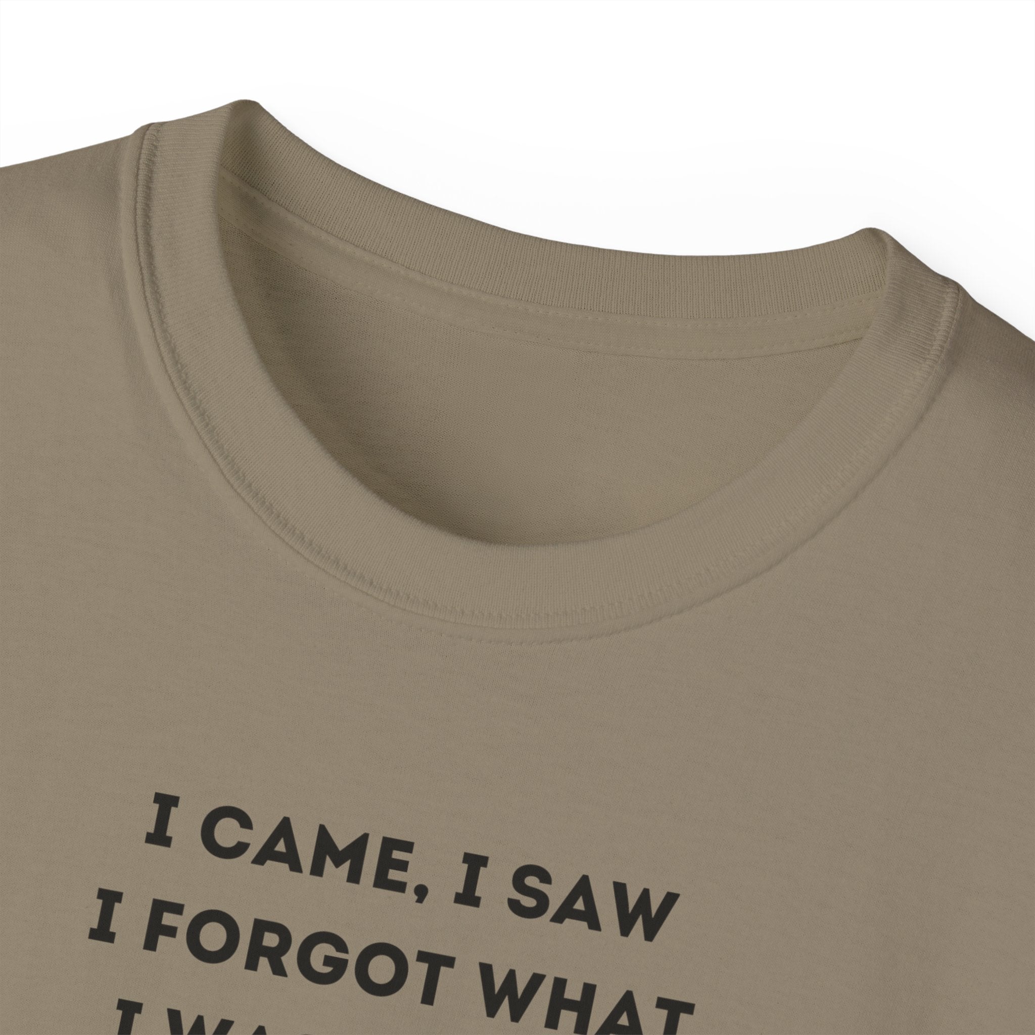 I Have to Pee - Funny Unisex Tee - I Came, I Saw, I Forgot, Perfect Gift for Friends, Casual Wear, Birthday, Humor Apparel, Everyday Wear