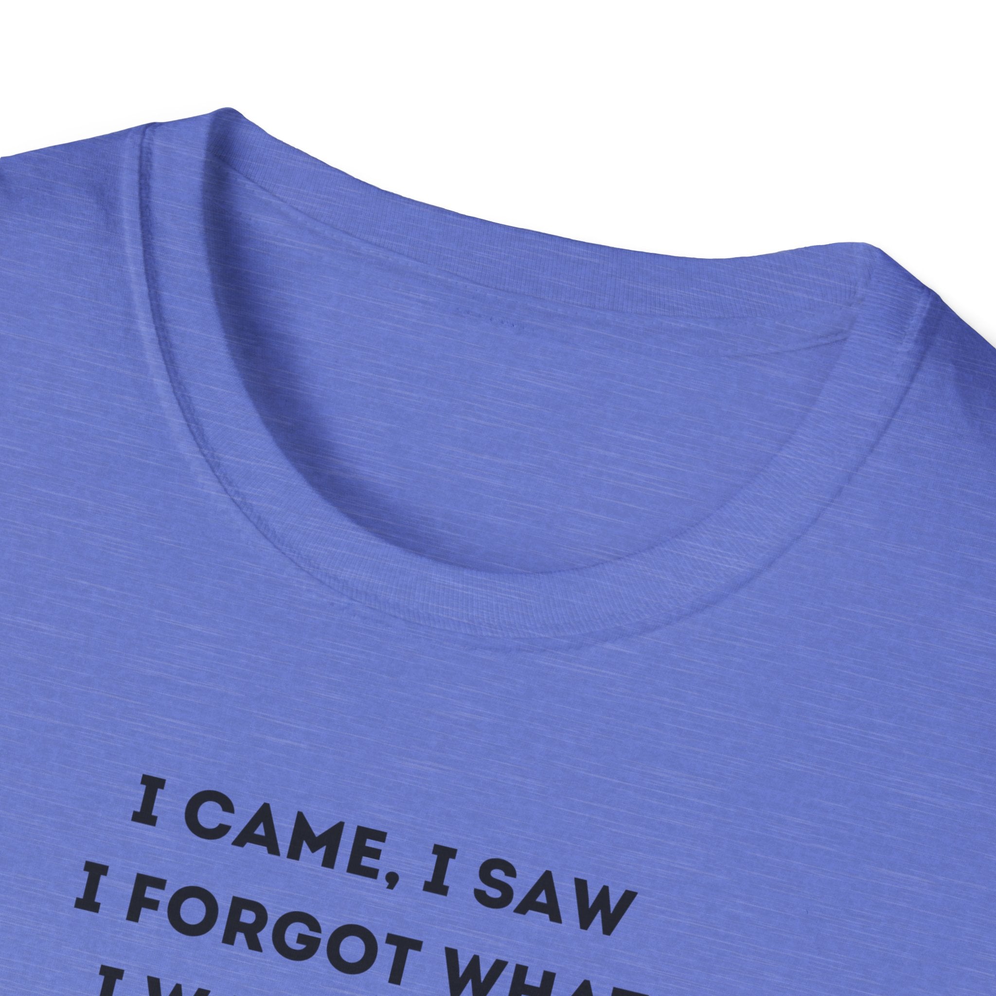 Grinch Inspired Softstyle Tee: I Came, I Saw, Funny T-Shirt for Fans, Gift for Birthdays, Casual Wear, Kermit Merchandise