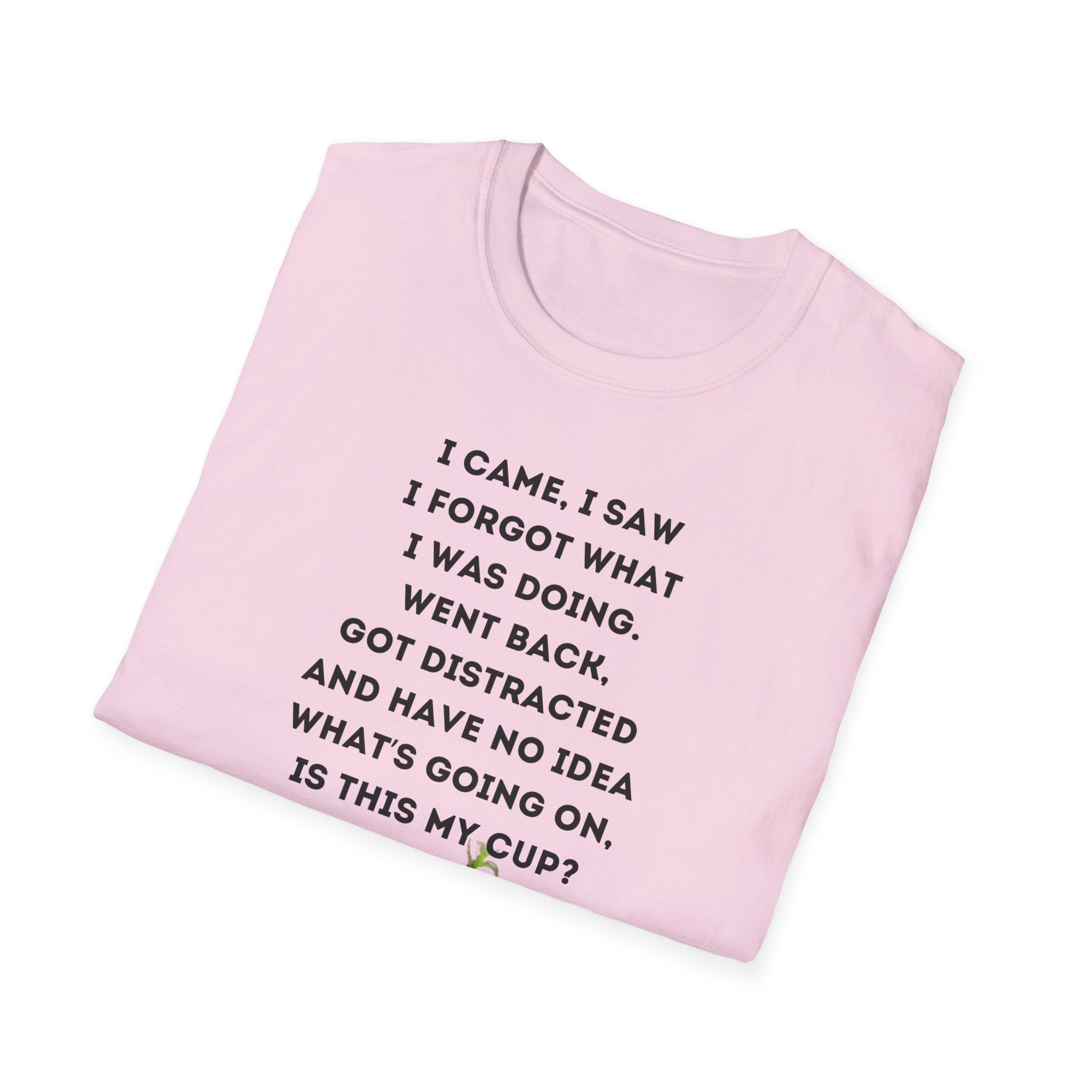 Grinch Inspired Softstyle Tee: I Came, I Saw, Funny T-Shirt for Fans, Gift for Birthdays, Casual Wear, Kermit Merchandise