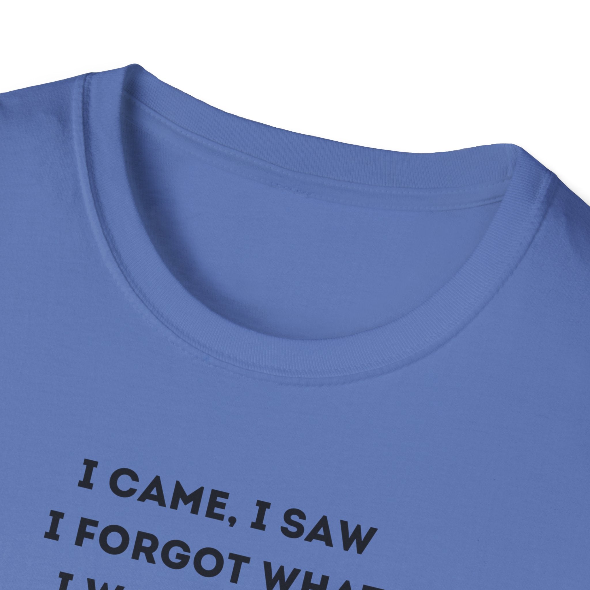 Grinch Inspired Softstyle Tee: I Came, I Saw, Funny T-Shirt for Fans, Gift for Birthdays, Casual Wear, Kermit Merchandise