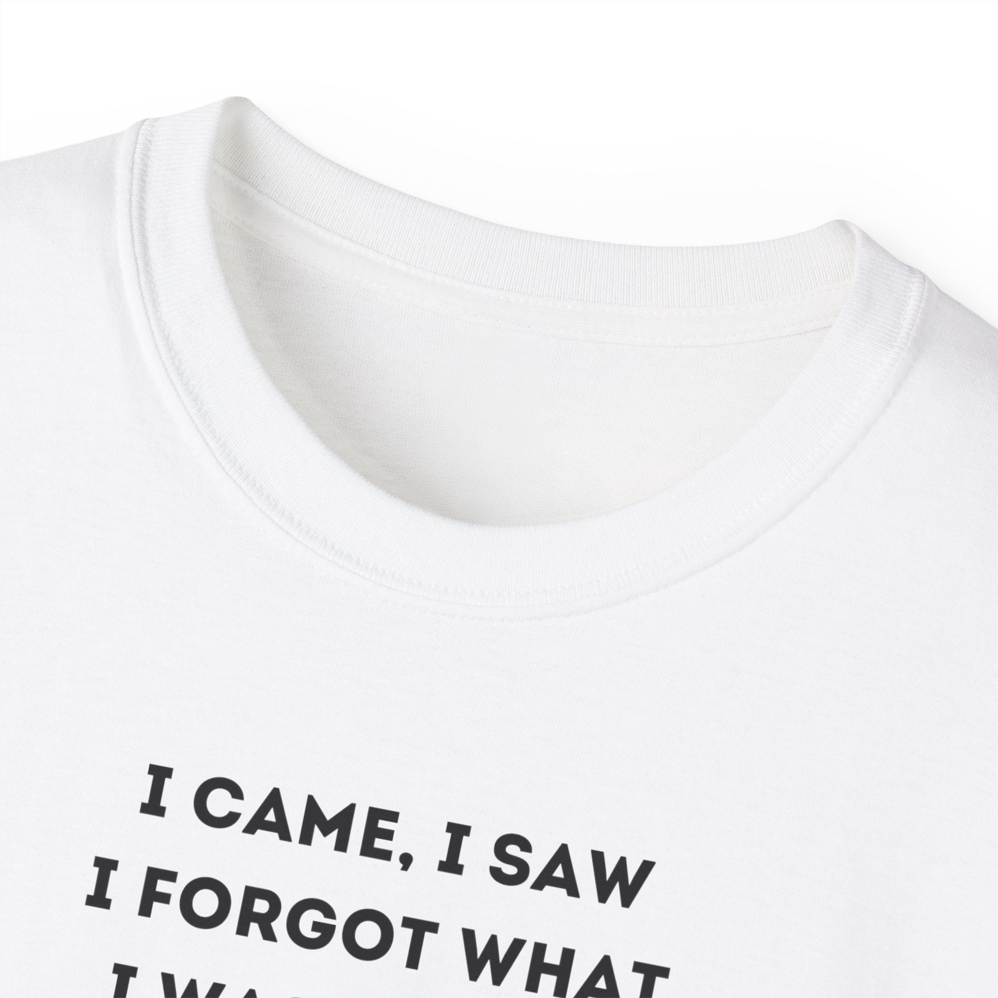 I Have to Pee - Funny Unisex Tee - I Came, I Saw, I Forgot, Perfect Gift for Friends, Casual Wear, Birthday, Humor Apparel, Everyday Wear
