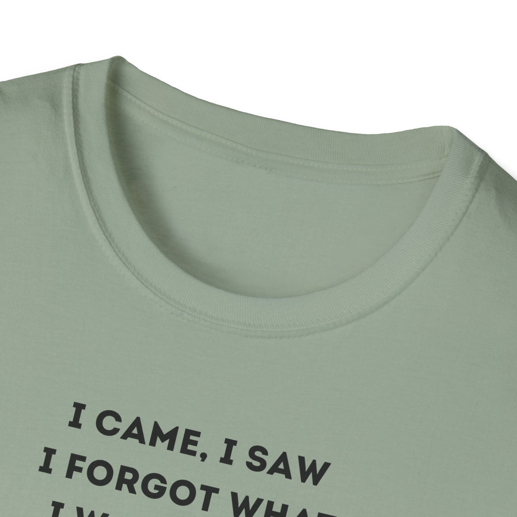 Grinch Inspired Softstyle Tee: I Came, I Saw, Funny T-Shirt for Fans, Gift for Birthdays, Casual Wear, Kermit Merchandise