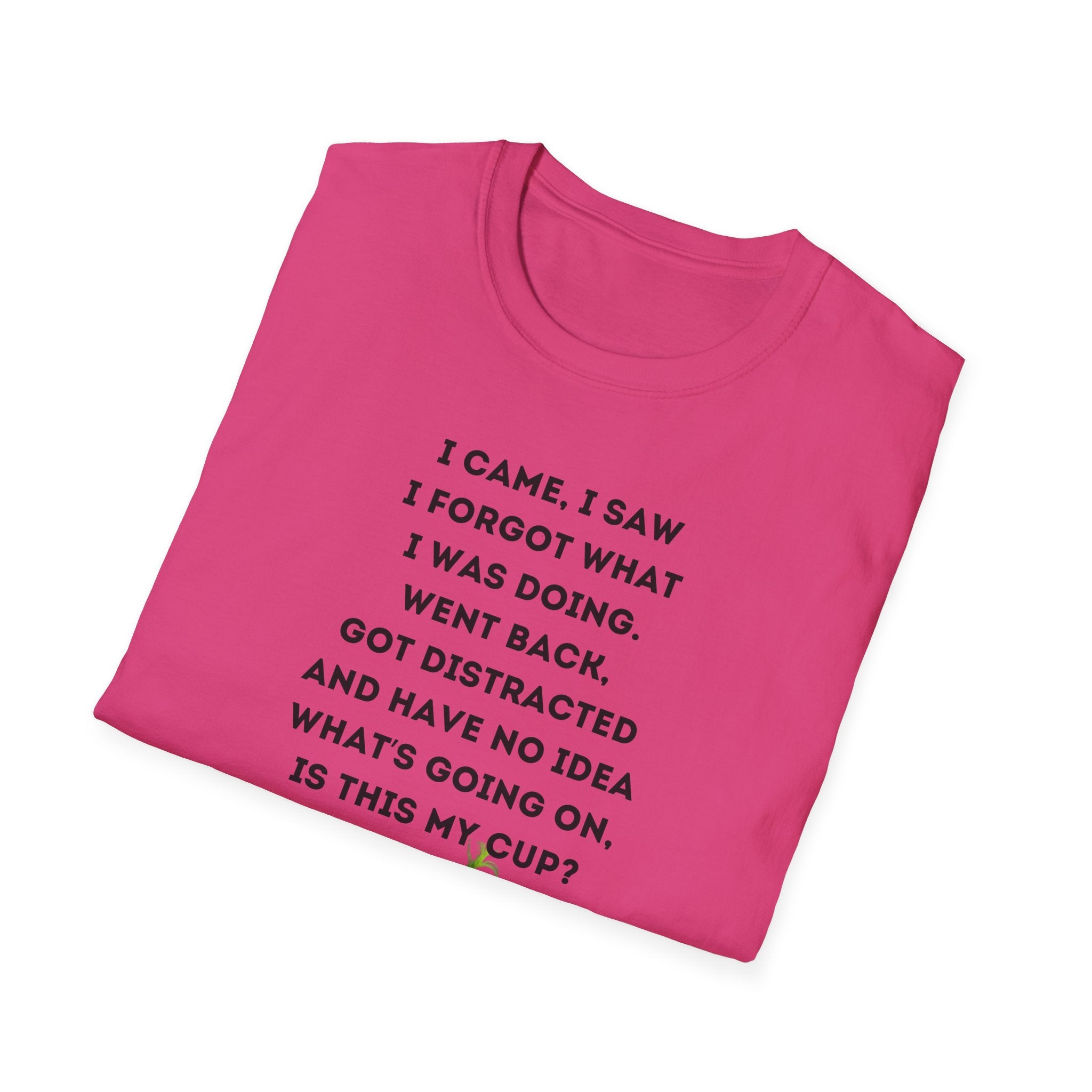 Grinch Inspired Softstyle Tee: I Came, I Saw, Funny T-Shirt for Fans, Gift for Birthdays, Casual Wear, Kermit Merchandise