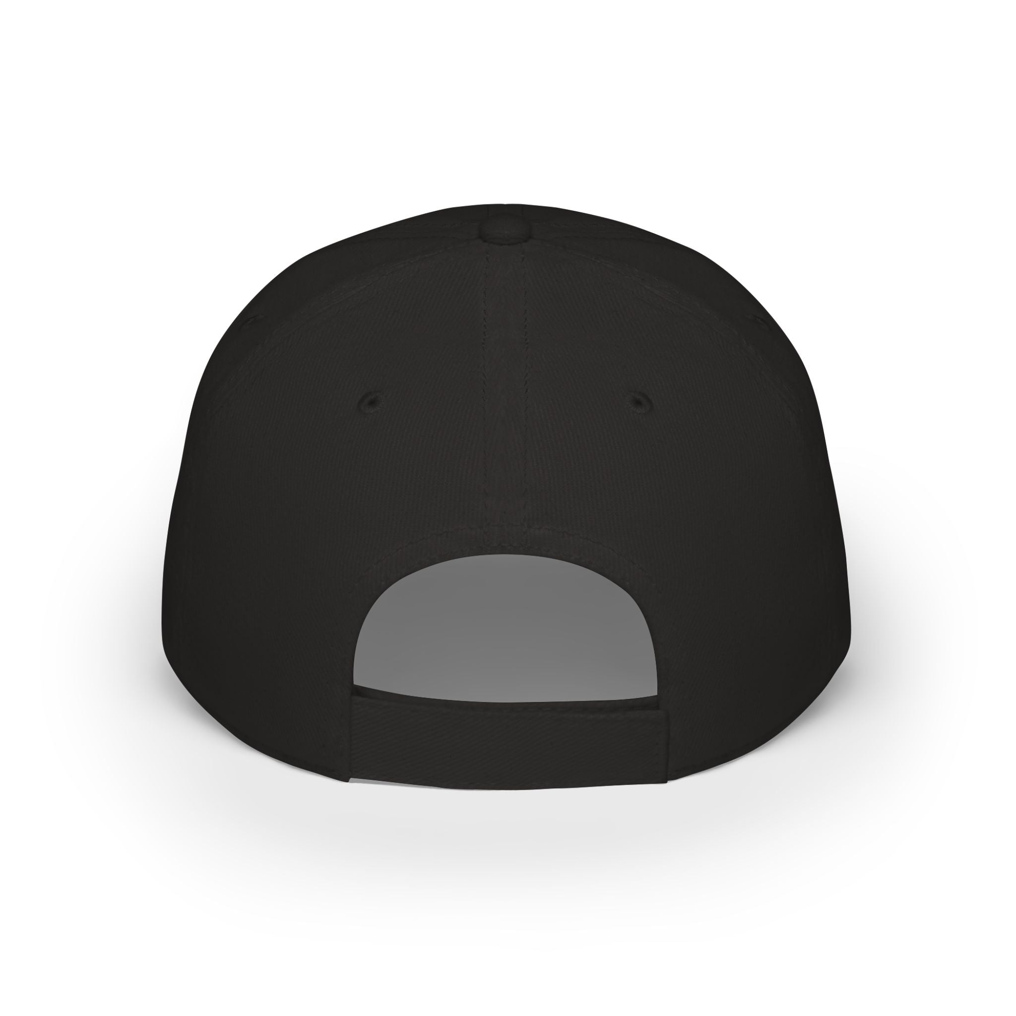 I Like BIG CUPS and I Cannot Lie! Low Profile Baseball Cap
