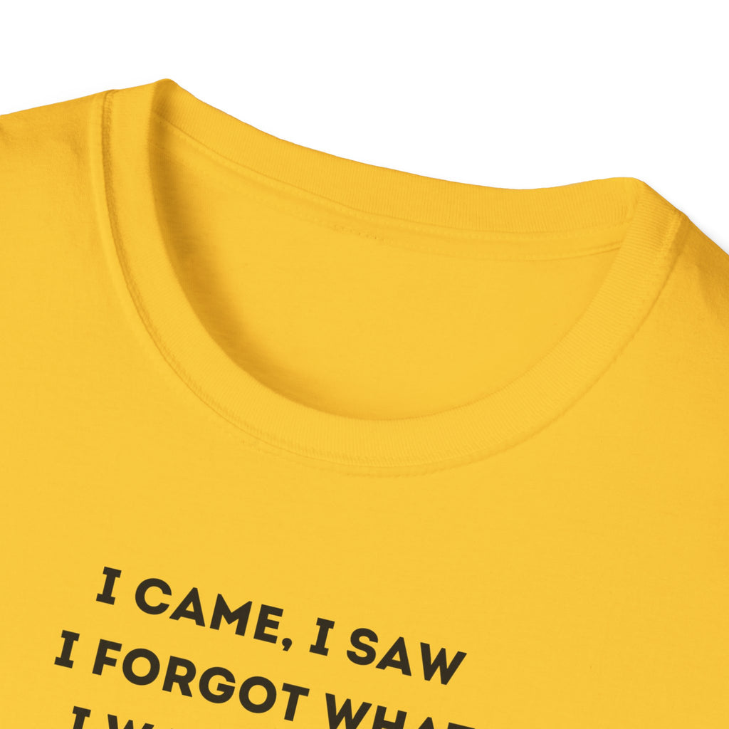Grinch Inspired Softstyle Tee: I Came, I Saw, Funny T-Shirt for Fans, Gift for Birthdays, Casual Wear, Kermit Merchandise