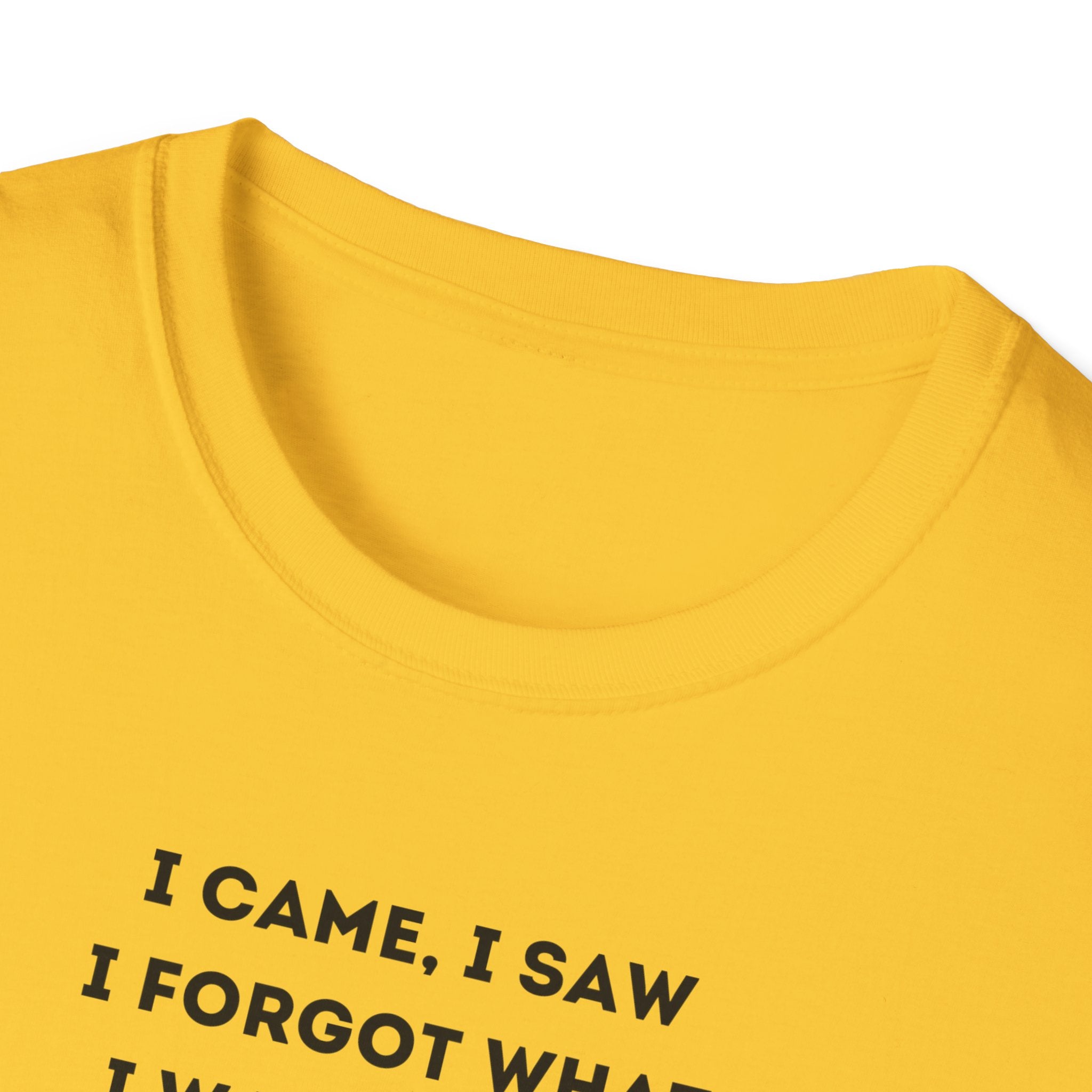 Grinch Inspired Softstyle Tee: I Came, I Saw, Funny T-Shirt for Fans, Gift for Birthdays, Casual Wear, Kermit Merchandise