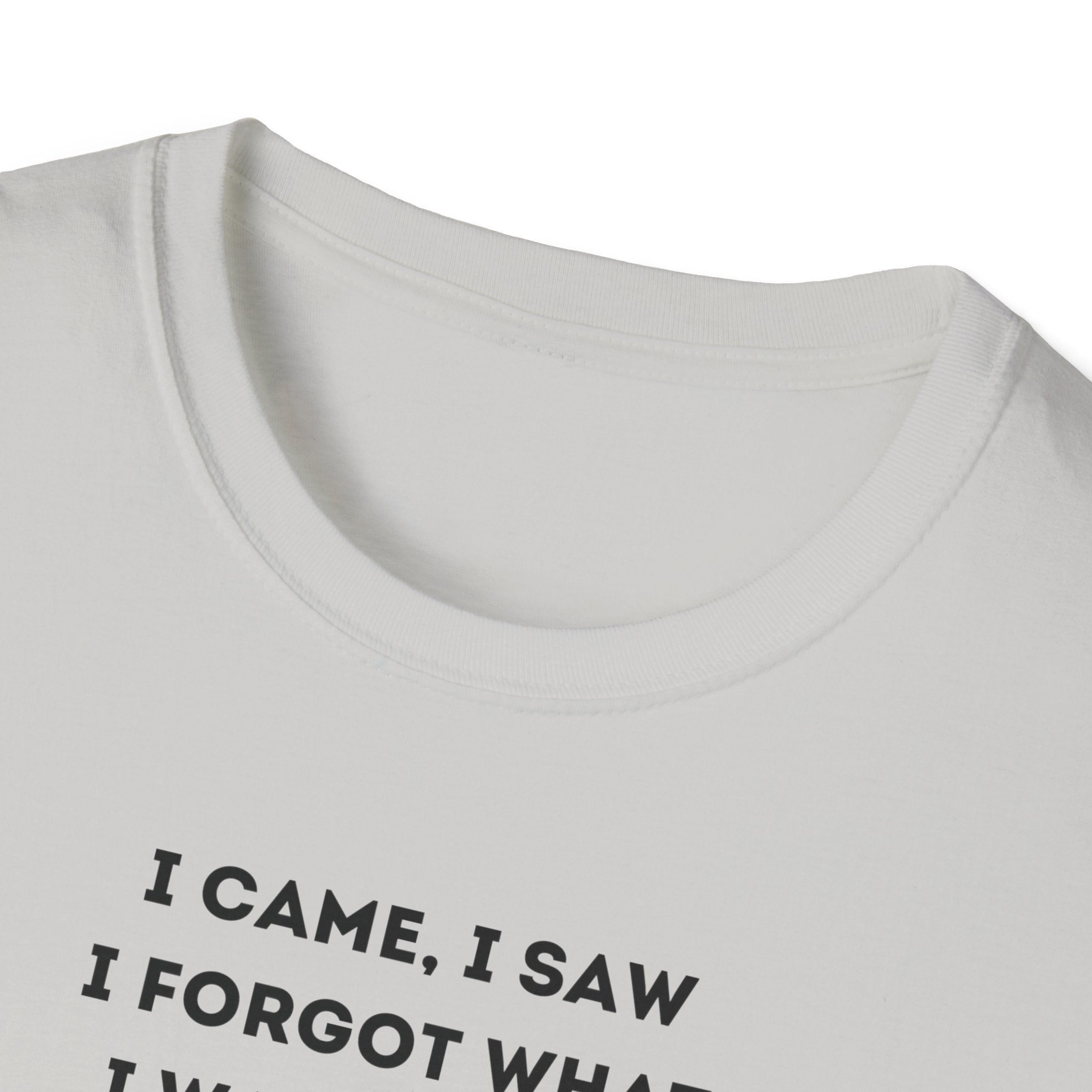 Grinch Inspired Softstyle Tee: I Came, I Saw, Funny T-Shirt for Fans, Gift for Birthdays, Casual Wear, Kermit Merchandise