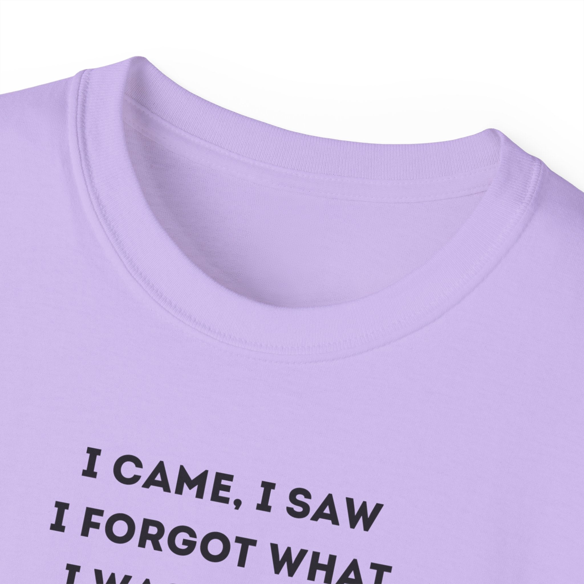 I Have to Pee - Funny Unisex Tee - I Came, I Saw, I Forgot, Perfect Gift for Friends, Casual Wear, Birthday, Humor Apparel, Everyday Wear