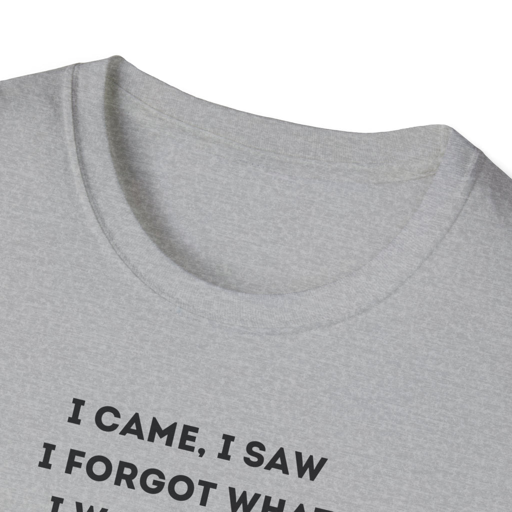 Grinch Inspired Softstyle Tee: I Came, I Saw, Funny T-Shirt for Fans, Gift for Birthdays, Casual Wear, Kermit Merchandise