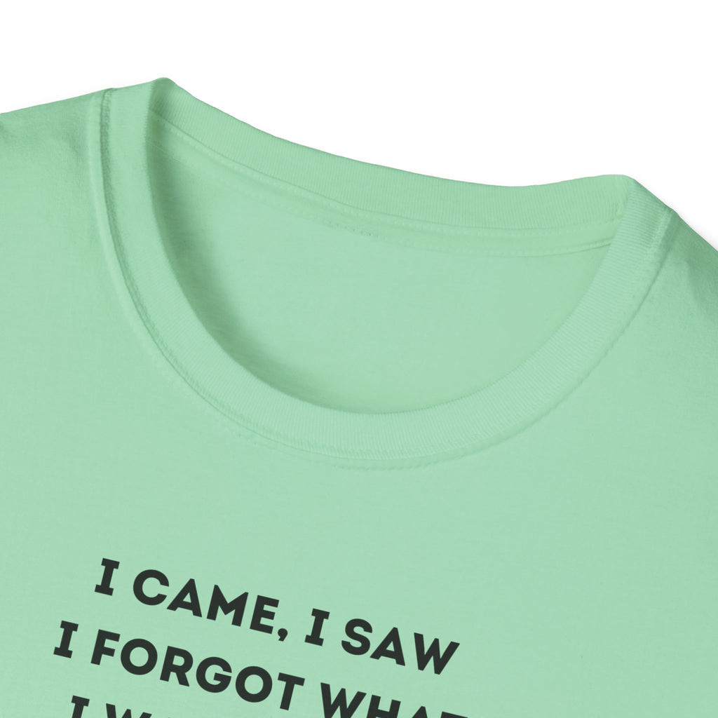 Grinch Inspired Softstyle Tee: I Came, I Saw, Funny T-Shirt for Fans, Gift for Birthdays, Casual Wear, Kermit Merchandise