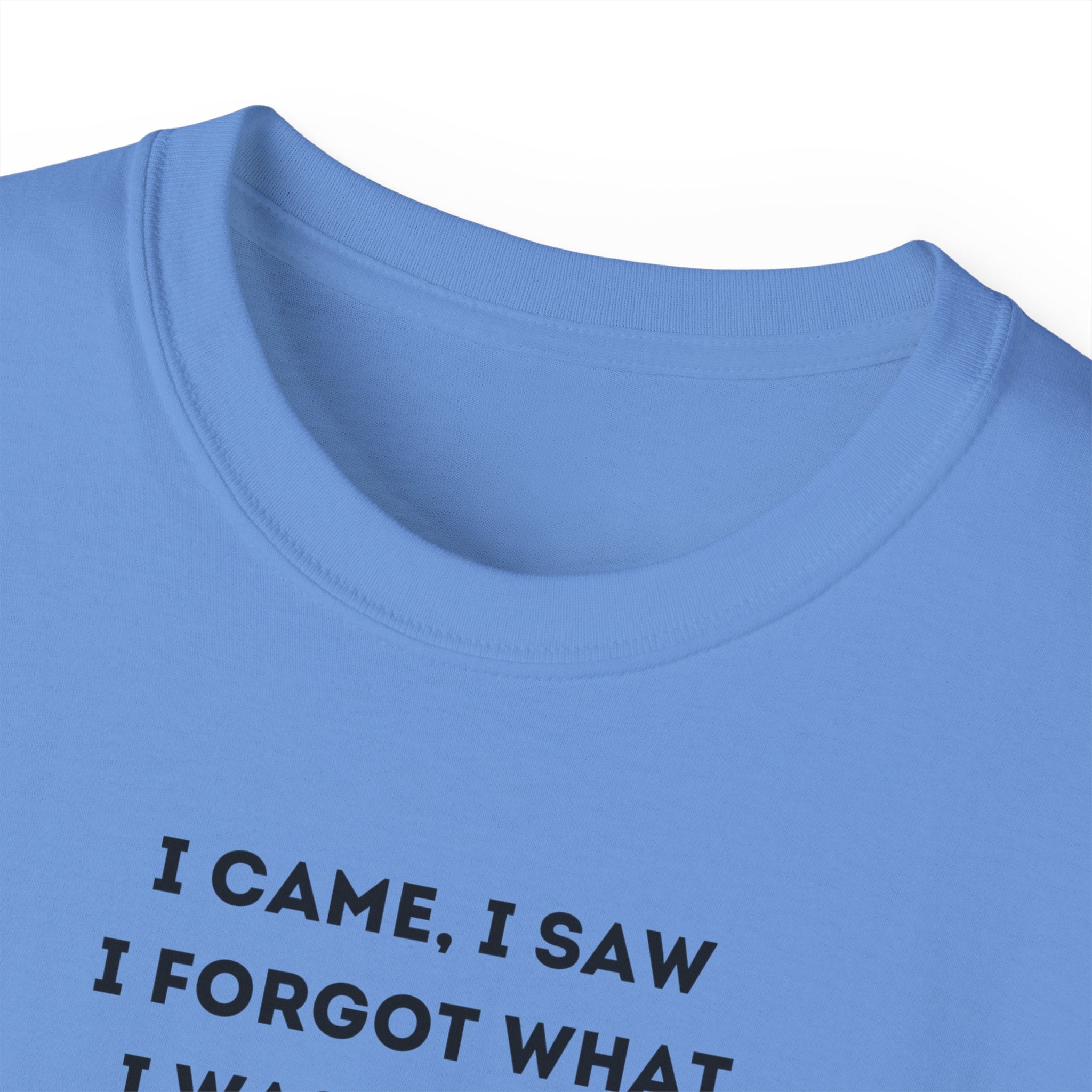I Have to Pee - Funny Unisex Tee - I Came, I Saw, I Forgot, Perfect Gift for Friends, Casual Wear, Birthday, Humor Apparel, Everyday Wear