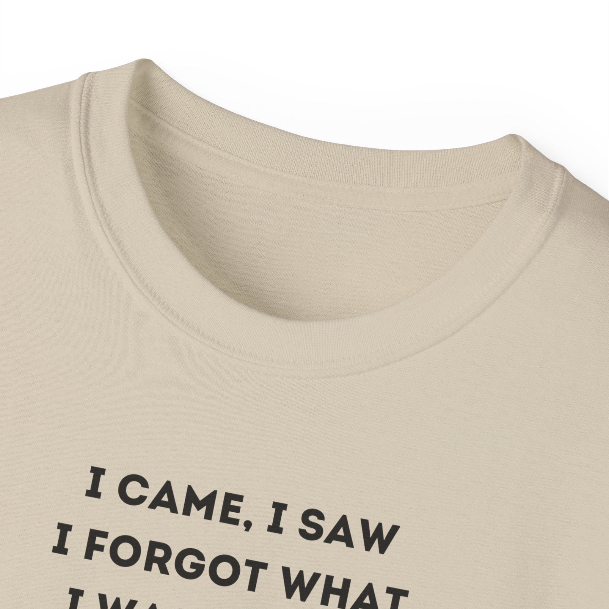I Have to Pee - Funny Unisex Tee - I Came, I Saw, I Forgot, Perfect Gift for Friends, Casual Wear, Birthday, Humor Apparel, Everyday Wear