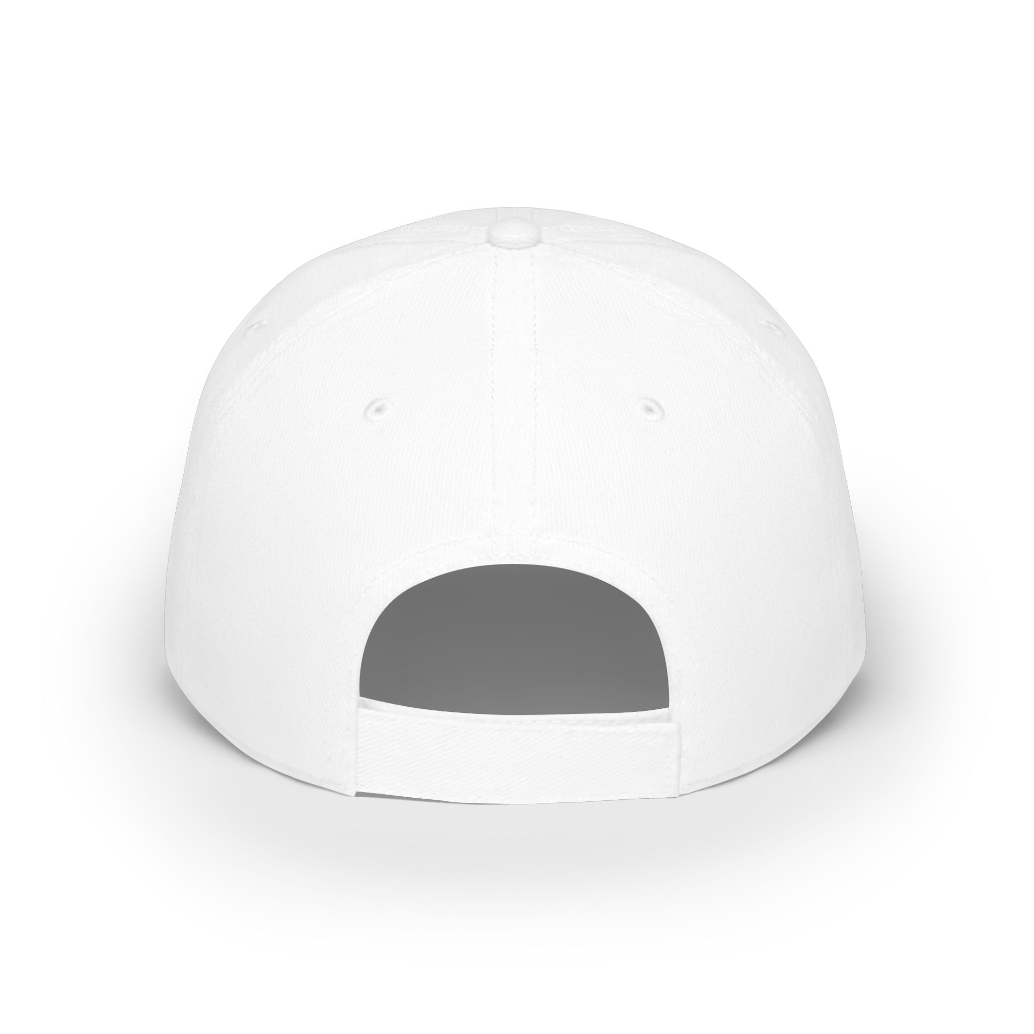 I Like BIG CUPS and I Cannot Lie! Low Profile Baseball Cap