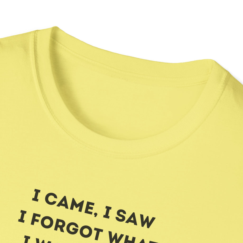 Grinch Inspired Softstyle Tee: I Came, I Saw, Funny T-Shirt for Fans, Gift for Birthdays, Casual Wear, Kermit Merchandise