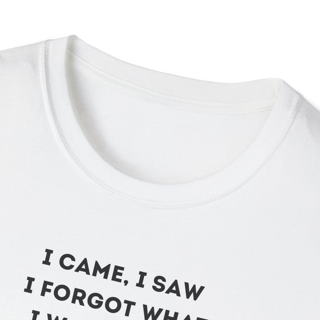 Grinch Inspired Softstyle Tee: I Came, I Saw, Funny T-Shirt for Fans, Gift for Birthdays, Casual Wear, Kermit Merchandise