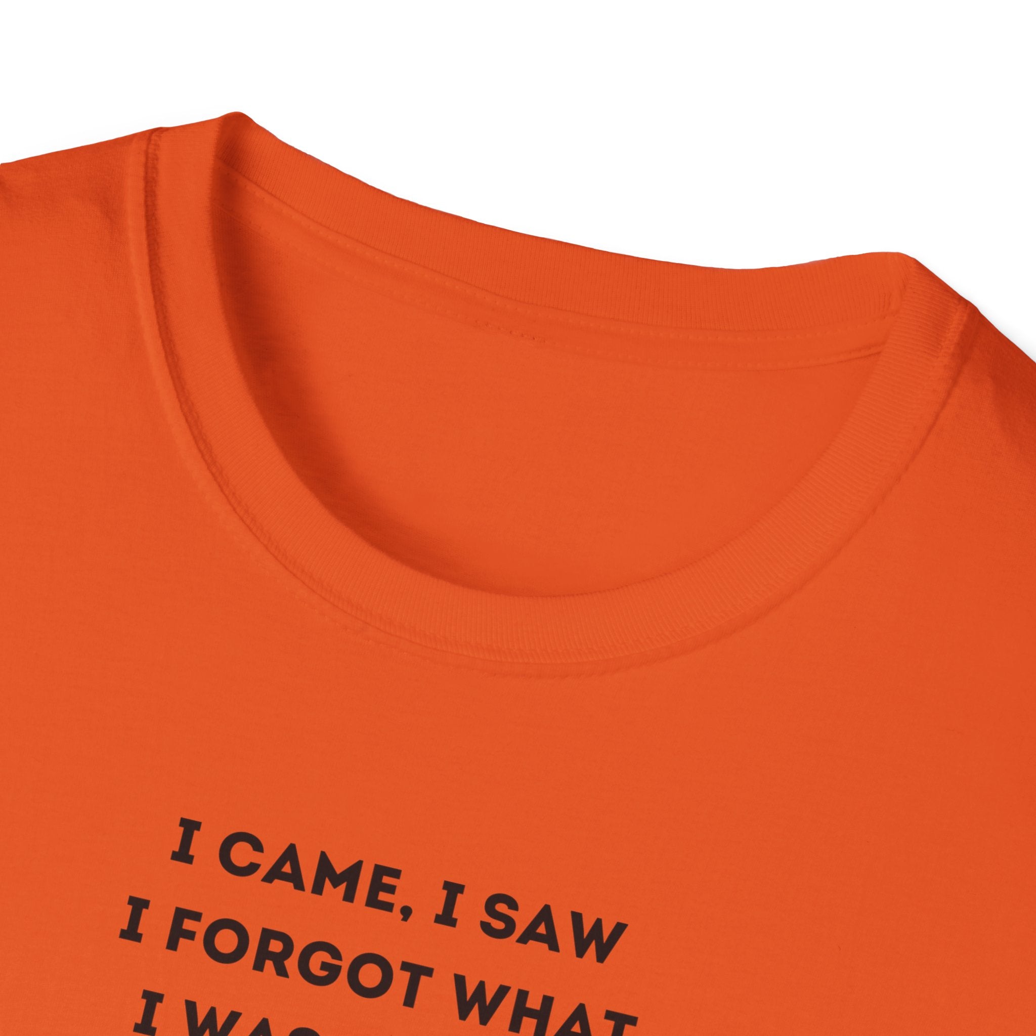 Grumpy Grinch Character with Funny Relatable Quote T-Shirt | Meme Tee