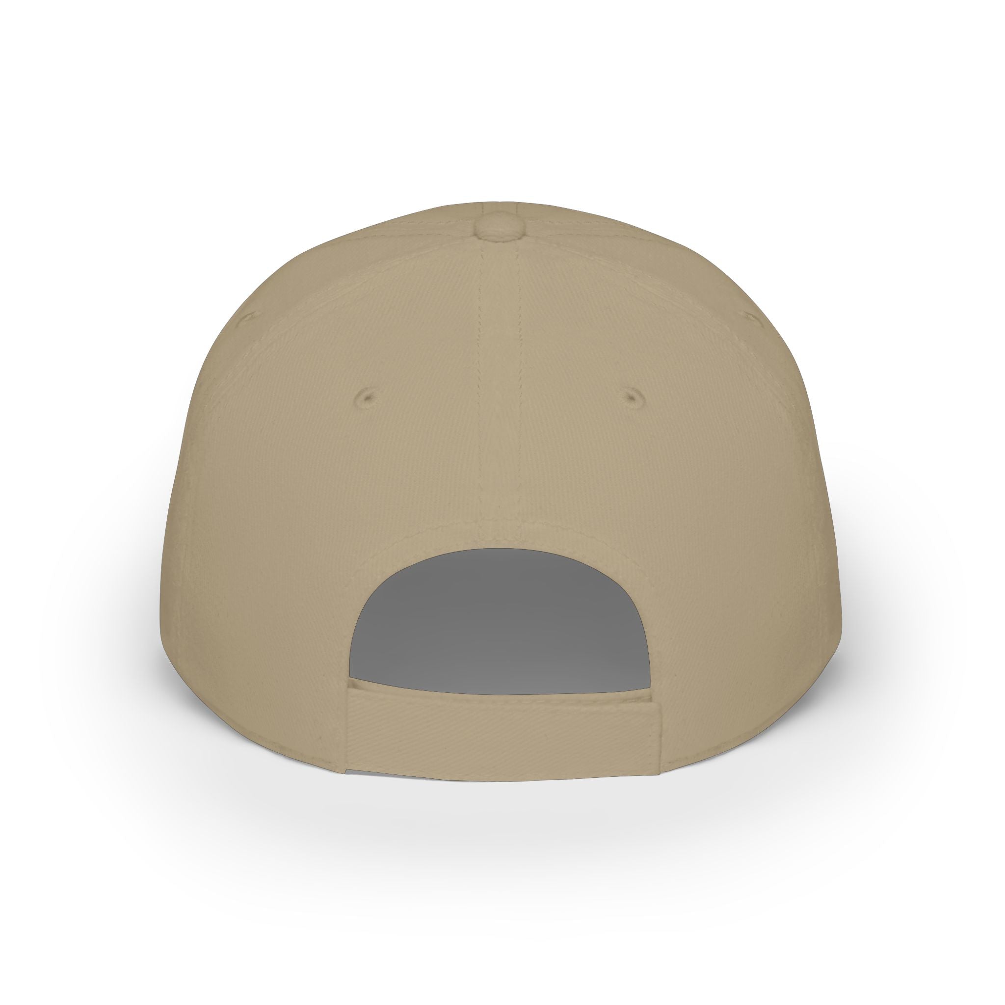 I Like BIG CUPS and I Cannot Lie! Low Profile Baseball Cap