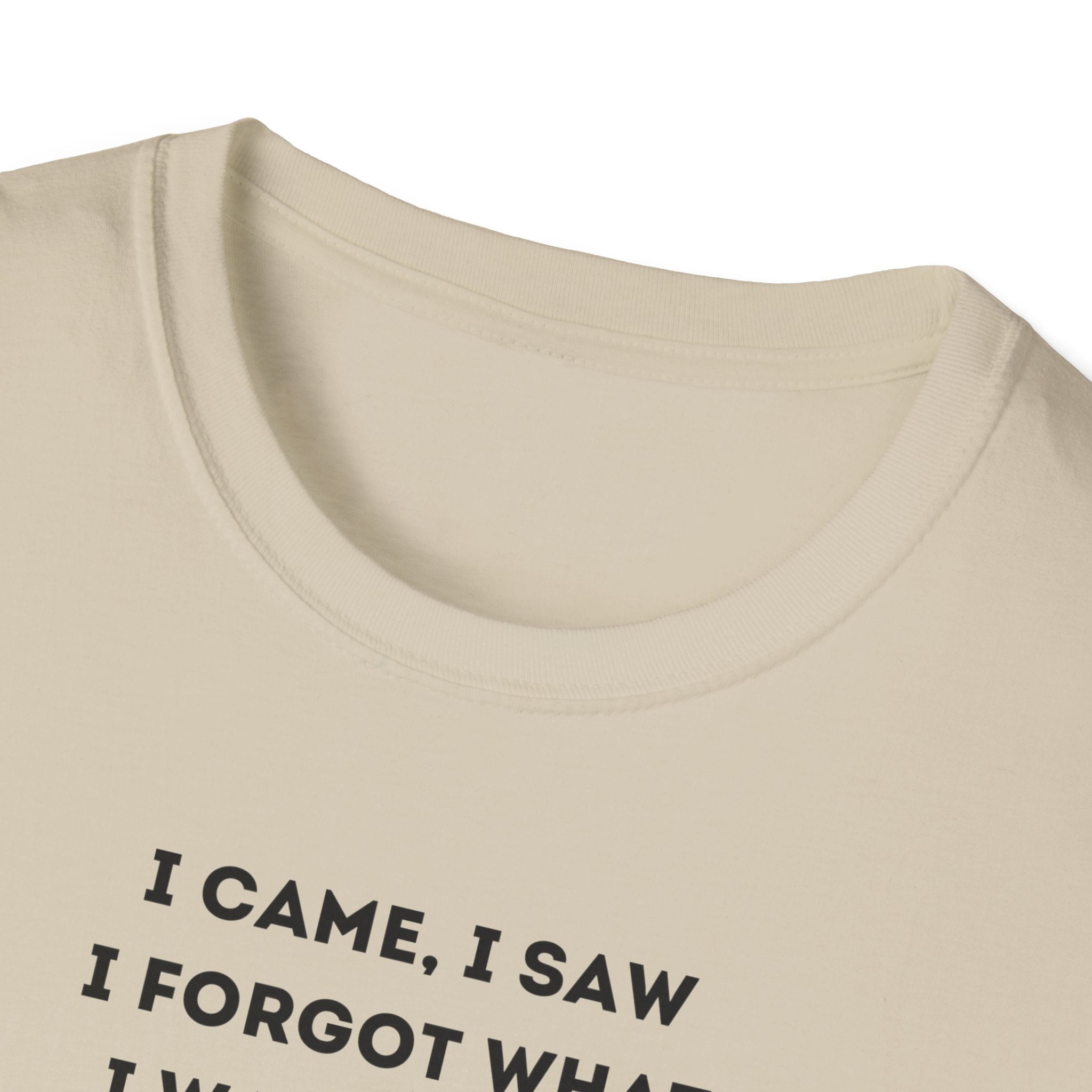 Grinch Inspired Softstyle Tee: I Came, I Saw, Funny T-Shirt for Fans, Gift for Birthdays, Casual Wear, Kermit Merchandise