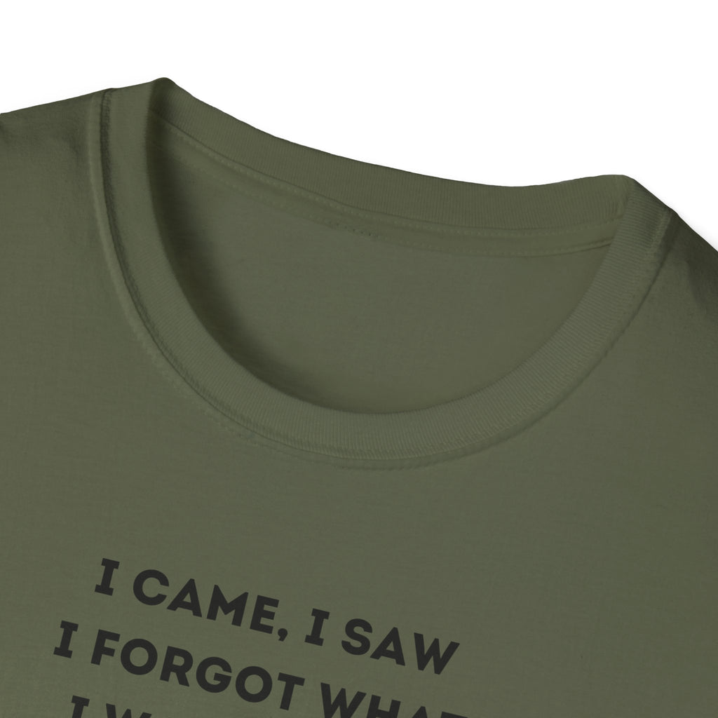 Grinch Inspired Softstyle Tee: I Came, I Saw, Funny T-Shirt for Fans, Gift for Birthdays, Casual Wear, Kermit Merchandise